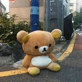 星之歇比