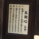 🔥灬Mario丶♒️