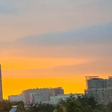 杨 沫沫