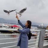 皮皮