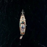 庄生晓梦迷蝴蝶