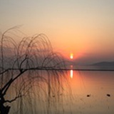 夕阳下的归家人
