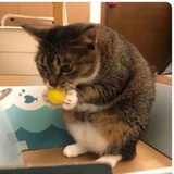 。