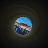 树