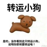 朴海美女士阿✨