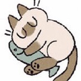 Lazy瓜瓜