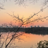 话梅小番茄