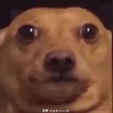 是昭昭呢