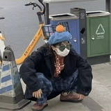 木瓜没有籽