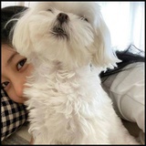 请叫我王颖之