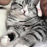 雪人