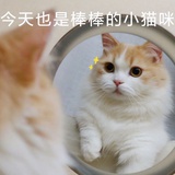 清汤麻辣烫战神