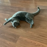 AUV语言编程
