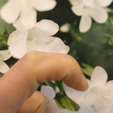 春晓球球