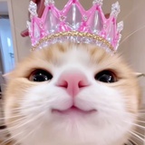 葱油拌面和火锅