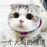 程小风贞
