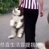 🥣某人