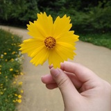 盼姐不要胖