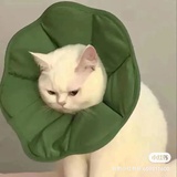 彳亍