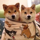 osbwnwn