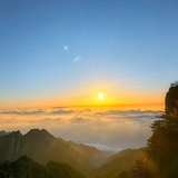 虫