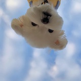 登势