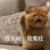 并不在线