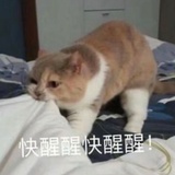 滴滴哒滴哒