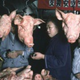 草字由点