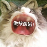 我熬夜熬我