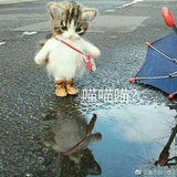 老郑