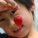 卖草莓的老男孩