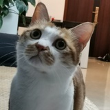 丹丹永远强大