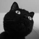 Phoemin