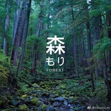 彼时花名未闻