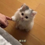 酸酸