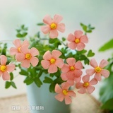 平行世界