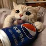 ttttt