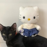 找寻性感