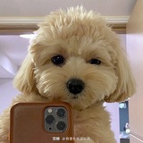 快乐吗