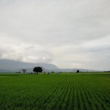 田埂-