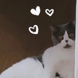 晷矣