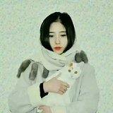 粉白蓝姑娘