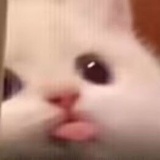 $_$