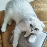 静水深流哗哗哗