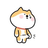 没有猫的猫奴