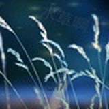 沧海盼秋水