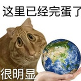 豆豆