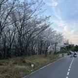 四哥