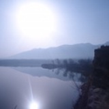 迷迭香